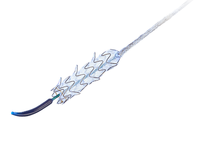 GORE® VIABIL®  Stint Image