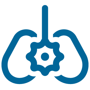 Minnesota shaped image