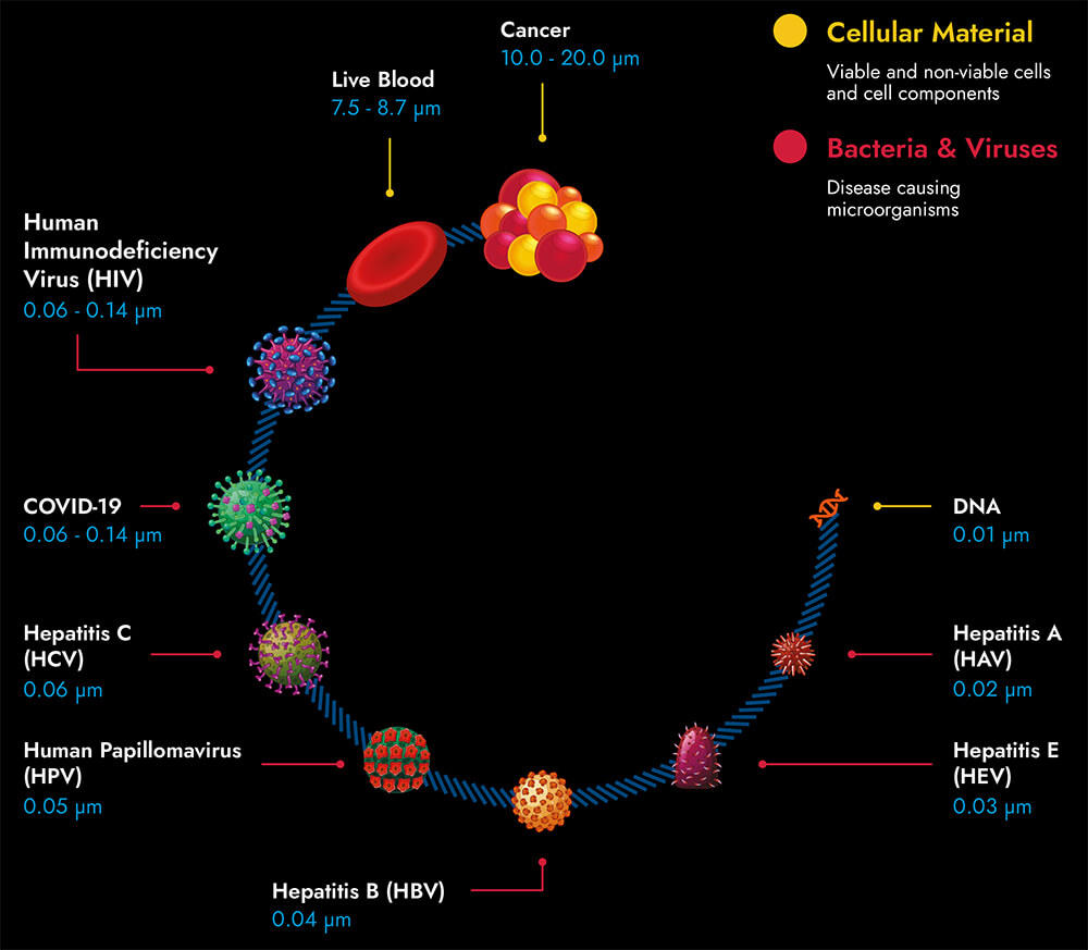 PX5 LandingPage-Infografik