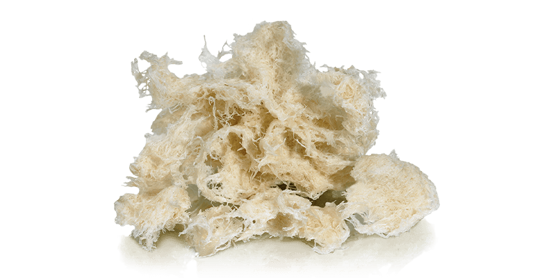 enhance demineralized cortical fibers