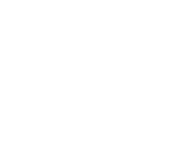 key feature icon