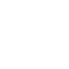 key feature icon