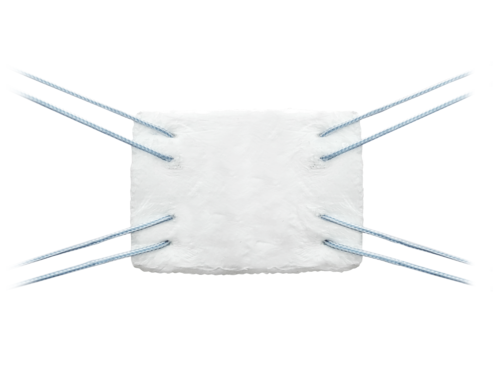 BioBrace® Reinforced Bioinductive Implant