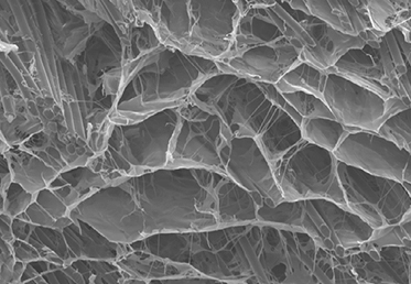imagen de la estructura porosa de Biobrace