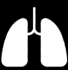 Lung icon