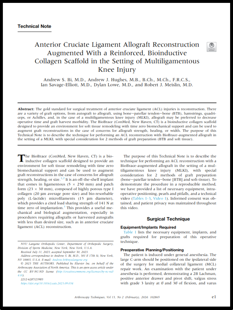 publication thumbnail