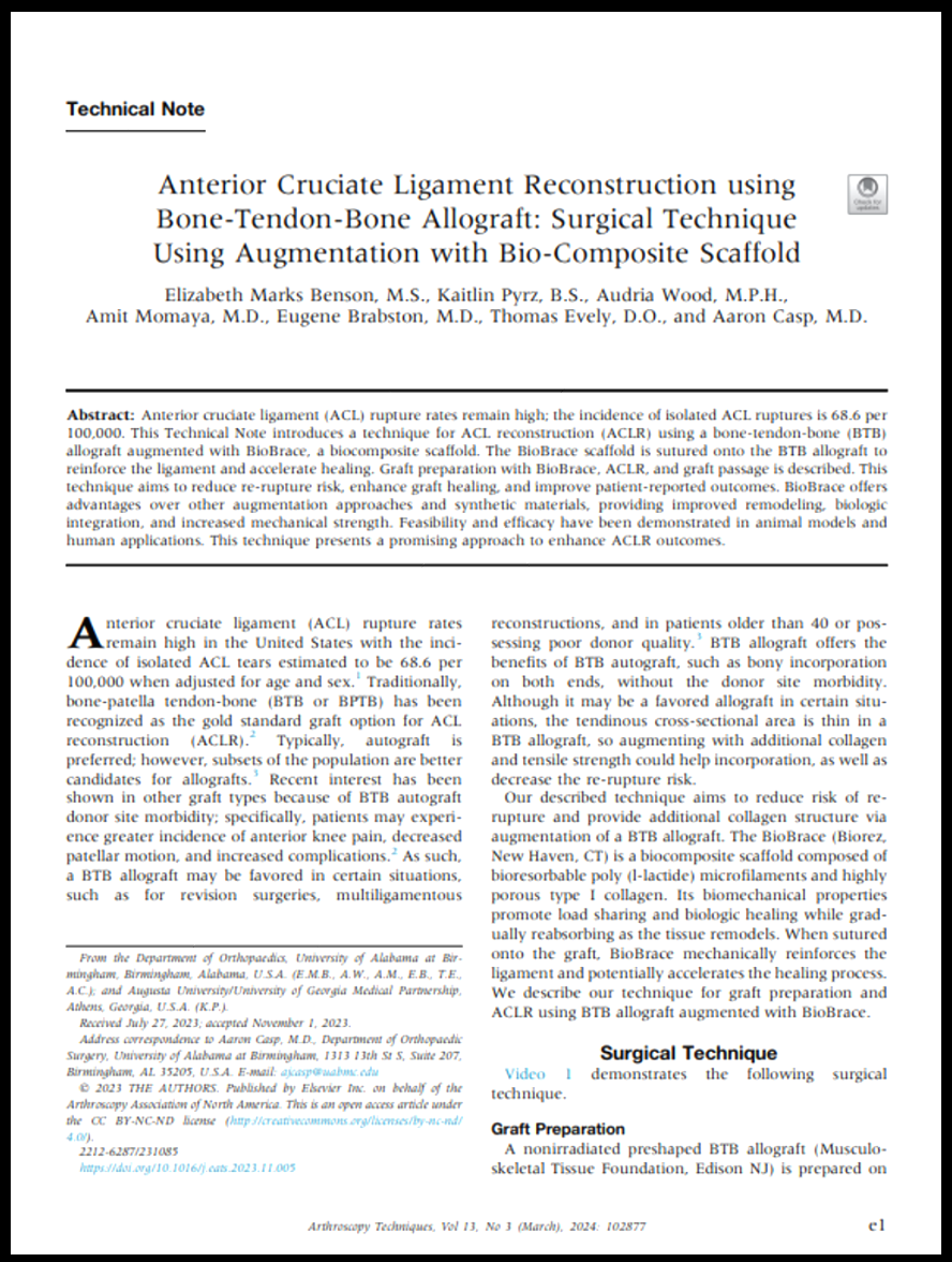 publication thumbnail
