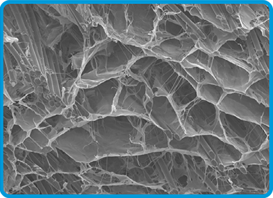 image of biobrace porous structure